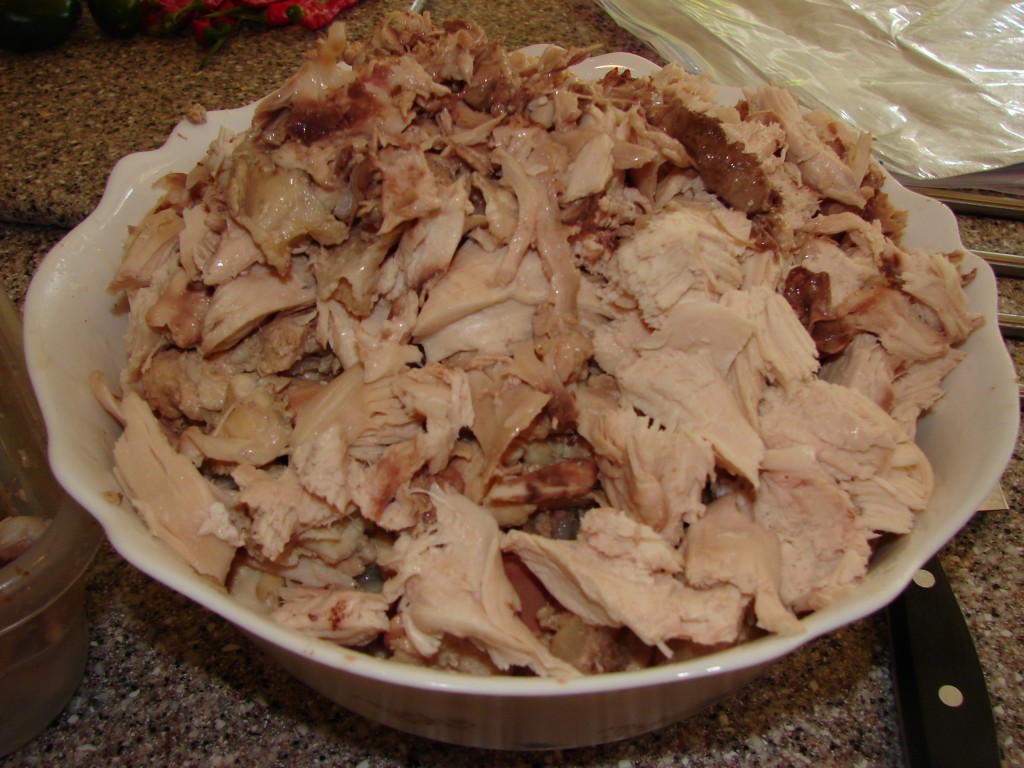 Rio’s Soup for Dogs Recipe Rio's Story